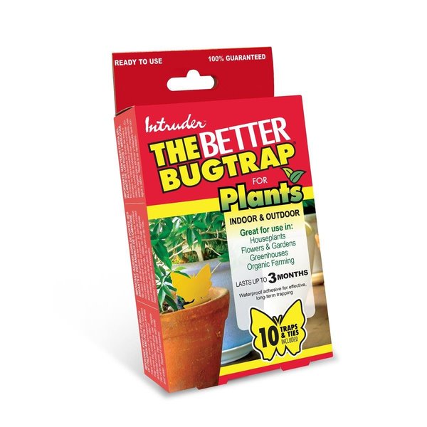 Intruder The Better Bugtrap for Plants 5039563